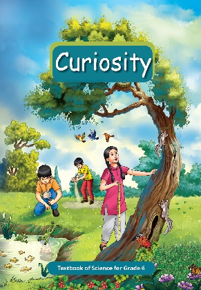 NCERT Class 6 Science Textbook PDF Download
